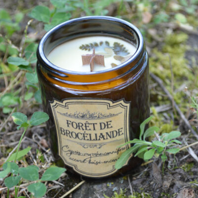 Bougie parfumée dans un pot apothicaire ambré, Forêt de Brocéliande