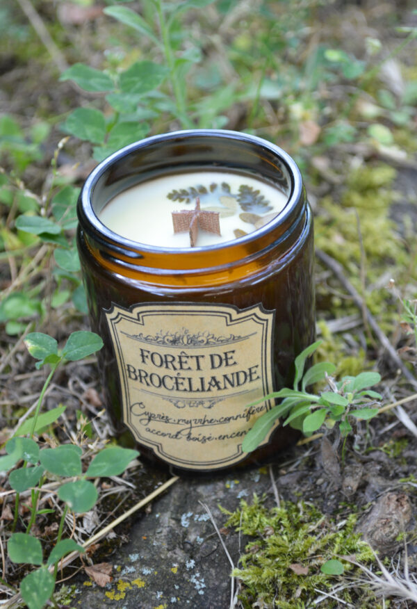 Bougie parfumée dans un pot apothicaire ambré, Forêt de Brocéliande