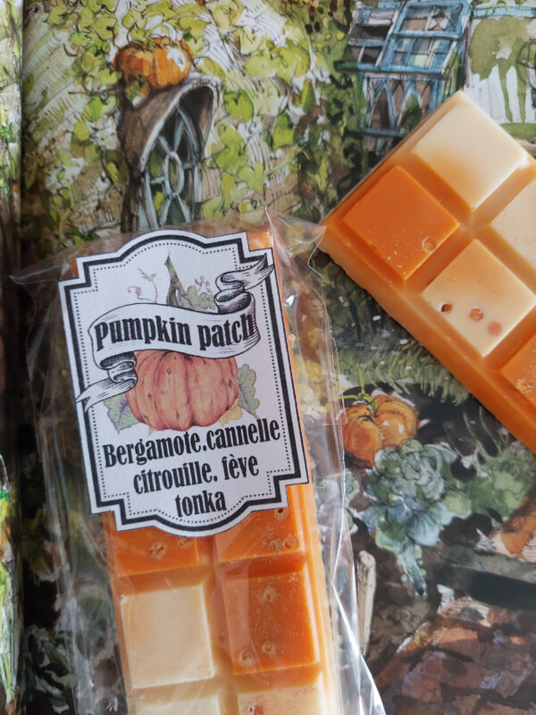 Tablette de fondant parfumé, Pumpkin Patch – Image 4