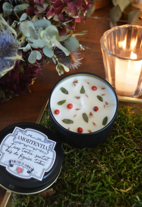 Bougie parfumée Amortentia, senteurs épicées