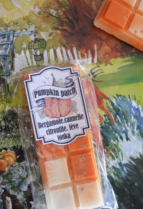 Tablette de fondant parfumé, Pumpkin Patch – Image 3