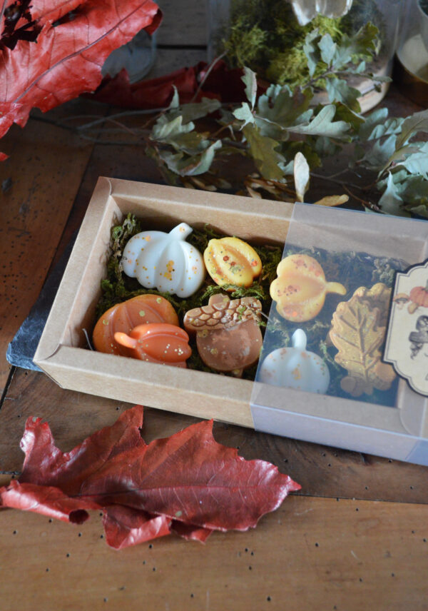 Coffret de fondants parfumés Autumn Harvest