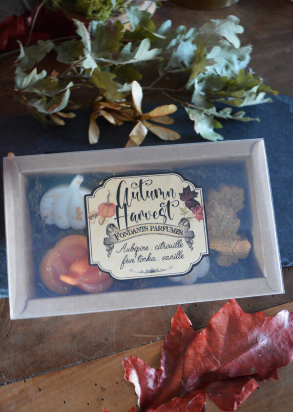 Coffret de fondants parfumés Autumn Harvest – Image 3