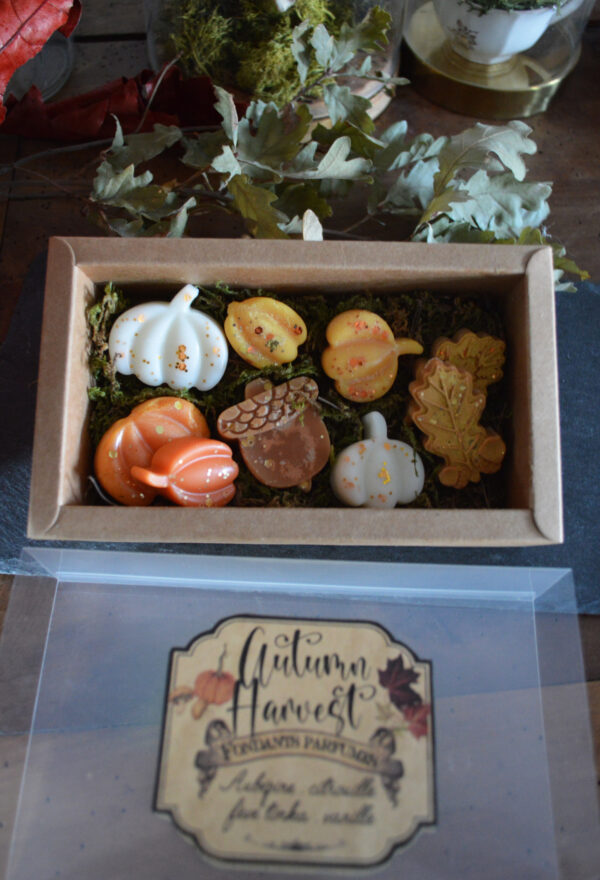 Coffret de fondants parfumés Autumn Harvest – Image 4