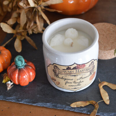 Bougie parfumée Autumn Harvest