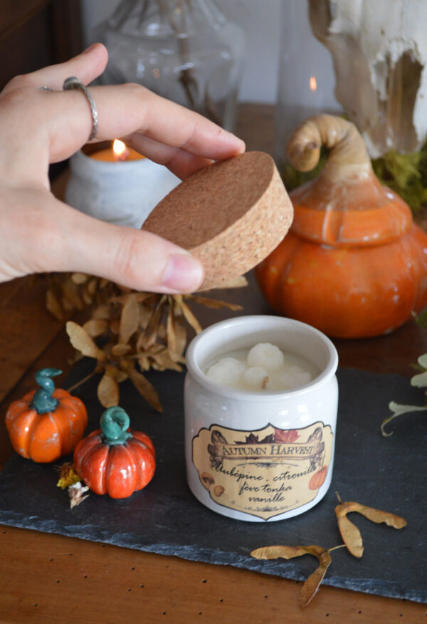 Bougie parfumée Autumn Harvest – Image 3