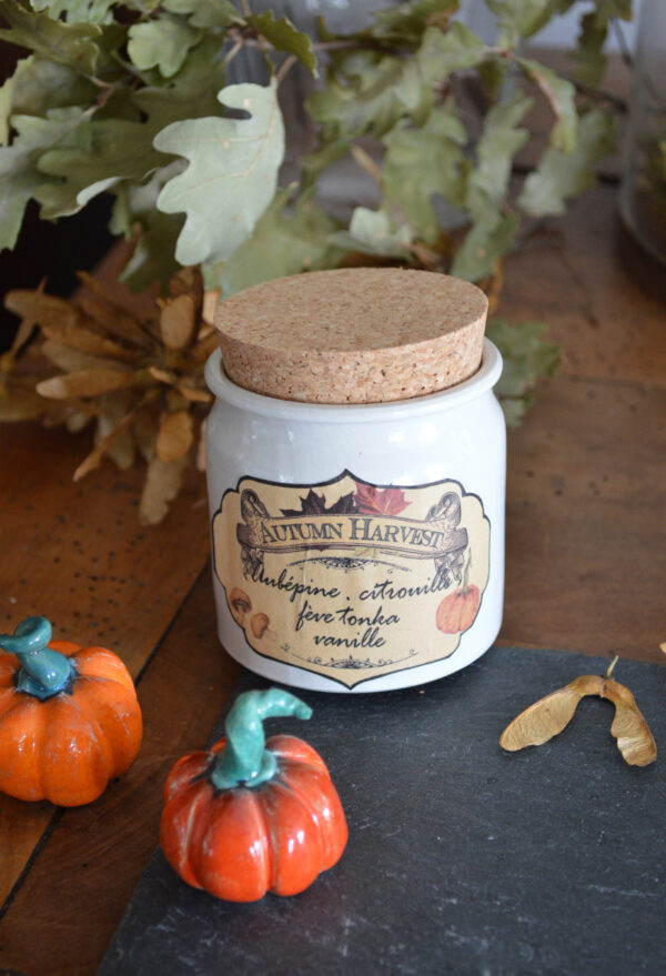 Bougie parfumée Autumn Harvest – Image 5