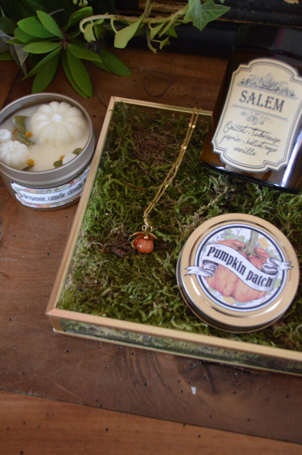 [Précommande] Box Halloween - Bougies et collier citrouille