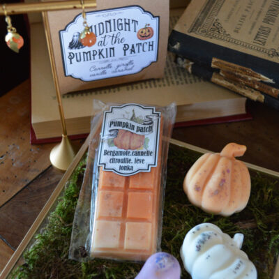 [Précommande] Box Halloween - Fondants parfumés et boucles d'oreille citrouille