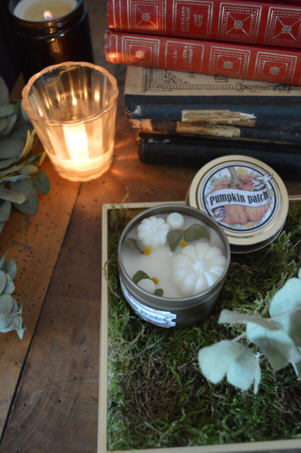 Bougie parfumée Pumpkin Patch