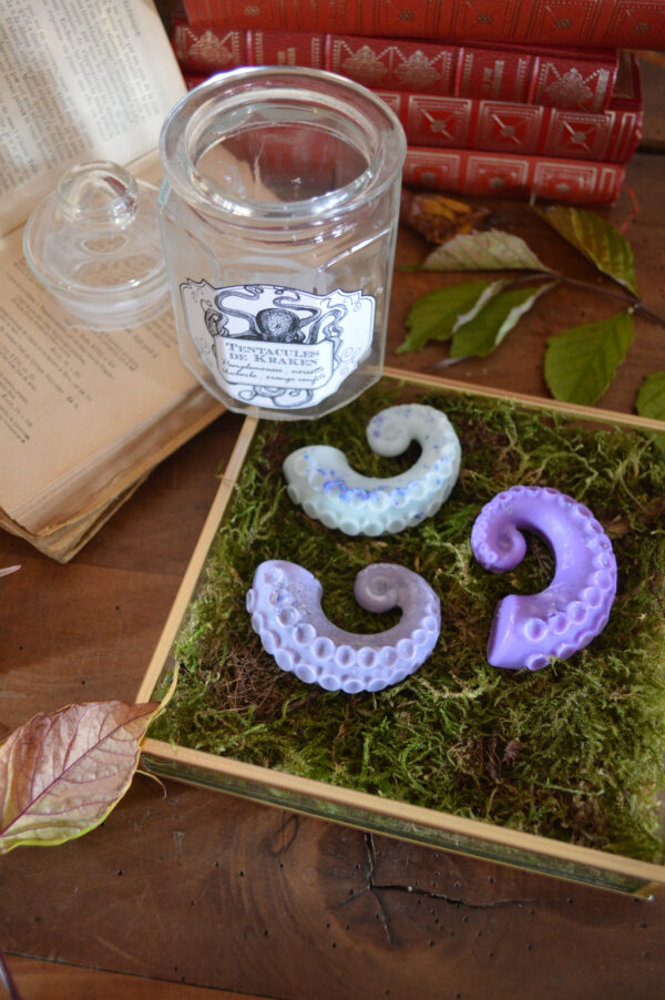Fondants parfumés dans une bonbonnière, Tentacules de Kraken – Image 3