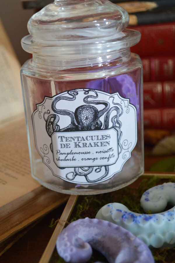 Fondants parfumés dans une bonbonnière, Tentacules de Kraken – Image 4